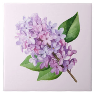 Arte de Flor de Lilás com Fundo Rosa