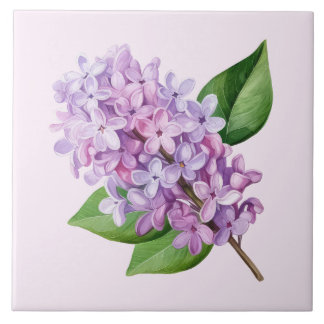 Arte de Flor de Lilás com Fundo Rosa