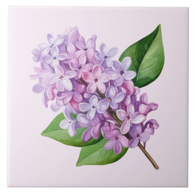 Arte de Flor de Lilás com Fundo Rosa (Frente)