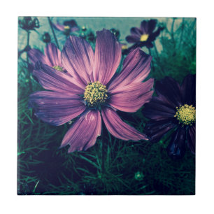 Arte de Foto de Flores Roxas Escuras