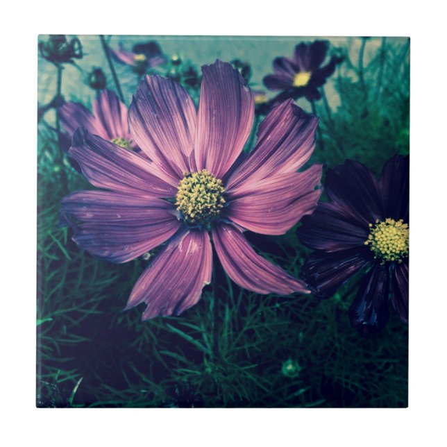 Arte de Foto de Flores Roxas Escuras (Frente)