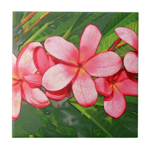 Arte de Frangipani Tropical Rosa