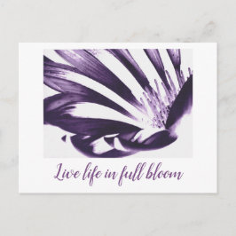 Arte de Heather Live Life em cartão postal de chei