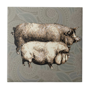 Arte de Ilustração Anterior de País de Fazenda de 