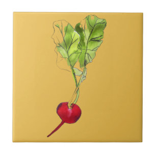 Arte de ilustração com aquarela vegetal de rabanet