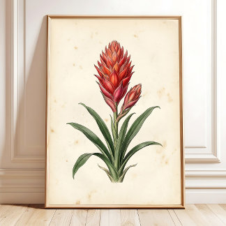 Arte de Impressão Boho Botânico Guzmania