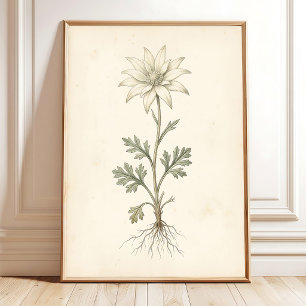 Arte de Impressão em Tela Flor de Flanela Botânica