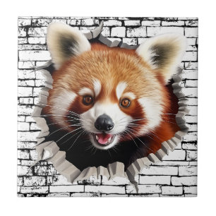 Arte de Panda Vermelho 3D em Parede Quebrada – Saf