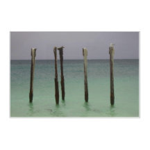 Arte de parede acrílica RESOLUTE | m3galleyStudio