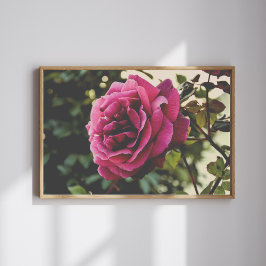Arte de Parede Botânica Rosa Impressão