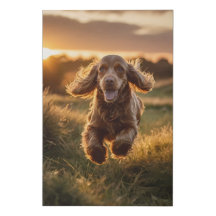 Arte de Parede Canvas do Cocker Spaniel