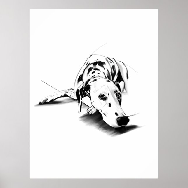 Arte de Parede com Dalmata em Poster – Desenhado à (Frente)
