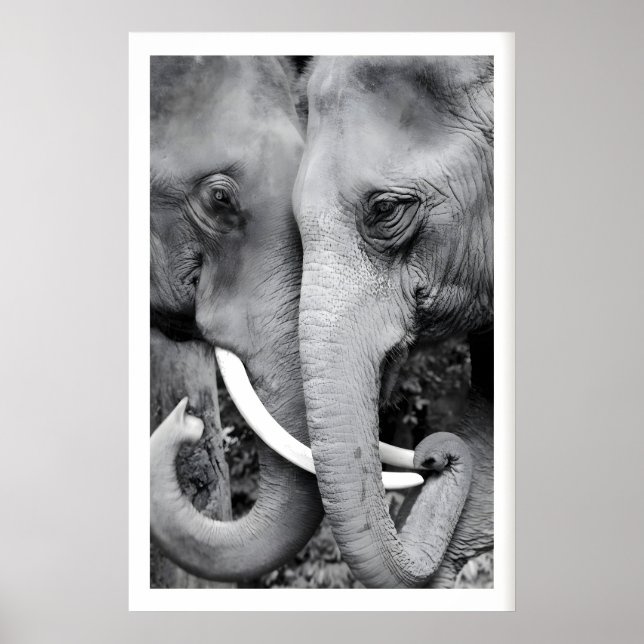 Arte de Parede de Elefante Impressão Close-Up Pret (Frente)