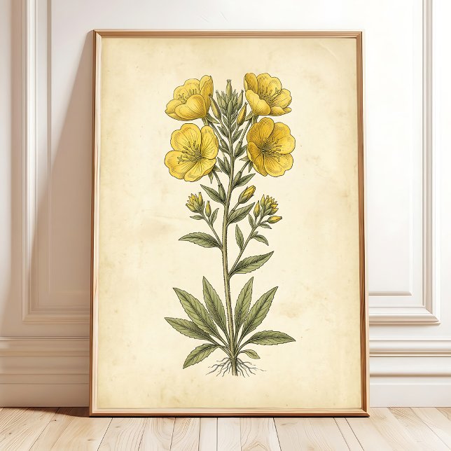 Arte de Parede de Impressão Botânica Vintage (Criador carregado)