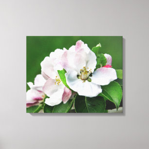 Arte de parede de Primavera de Canvas de árvore d