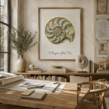 Arte de parede em poster de concha de Nautilus Cos