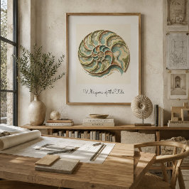 Arte de parede em poster de concha de Nautilus Cos