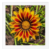 Arte de parede floral 1 acrílica