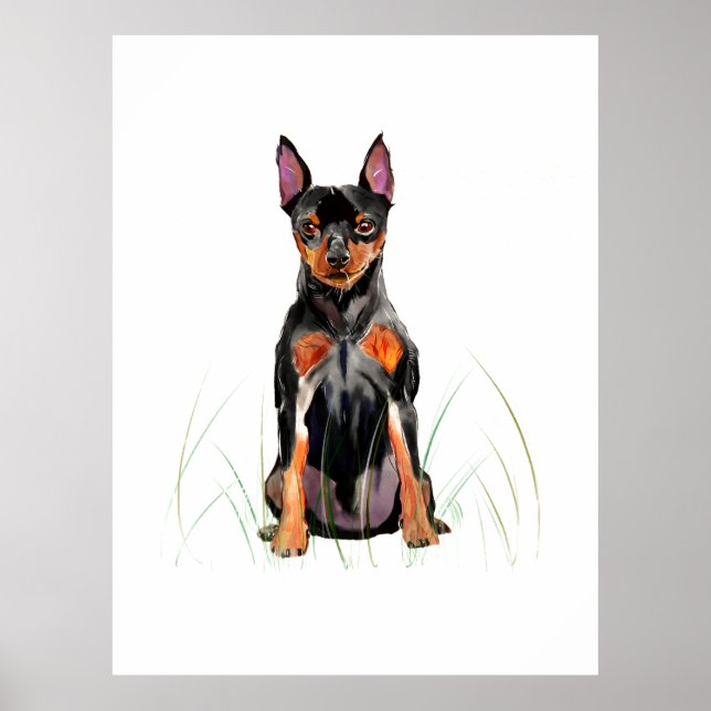 Arte de Parede Poster Pinscher Miniatura, Impressã (Frente)