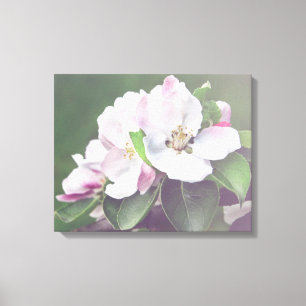 Arte de Parede Primavera de Canvas do Flor da Árvo
