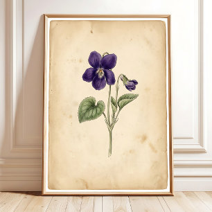 Arte de Parede Violeta Vintage Impressão Enquadrad