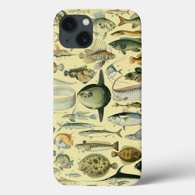 Arte De Pesca Científica Para Peixes Vintage (Verso)