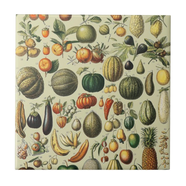 Arte de Poster de Frutas Botânicas Francesas Vinta (Frente)