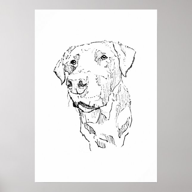 Arte de Poster de Labrador Retriever, Impressão de (Frente)
