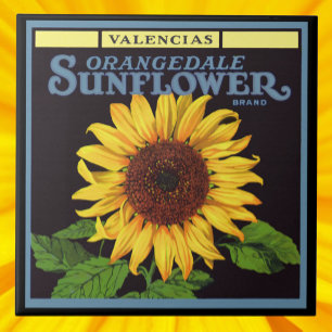 Arte de rótulo de caixa de frutas vintage Orangeda