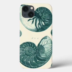 Arte de Seashell Vermelha e Verde