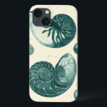 Arte de Seashell Vermelha e Verde<br><div class="desc">O artista Denis Diderot é talentoso e conhecido por suas imagens da vida no mar excelente. Nesta imagem vívida, ele captura dois conchas vermelhas e verdes estaladas no seu estilo mais natural. Conchas são muitas vezes quebradas como esses dois conchas e em um tom de aparência sépia. Pegue seu produto...</div>