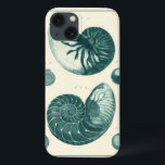Arte de Seashell Vermelha e Verde<br><div class="desc">O artista Denis Diderot é talentoso e conhecido por suas imagens da vida no mar excelente. Nesta imagem vívida, ele captura dois conchas vermelhas e verdes estaladas no seu estilo mais natural. Conchas são muitas vezes quebradas como esses dois conchas e em um tom de aparência sépia. Pegue seu produto...</div>
