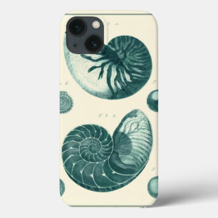 Arte de Seashell Vermelha e Verde