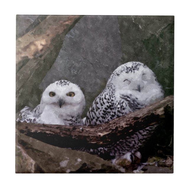 Arte de vida selvagem da floresta com casal de cor (Frente)