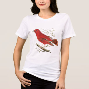 Arte decorativa de pássaros naturalista Tanager Es