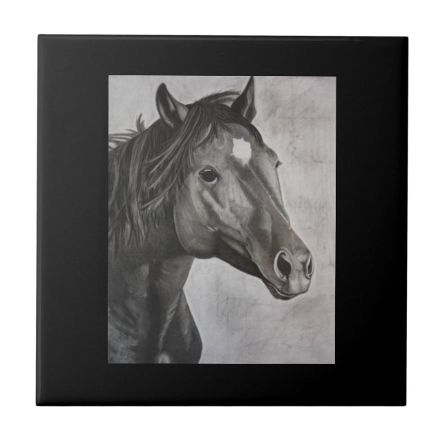 Arte Desenhada à Mão do Cavalo (Frente)