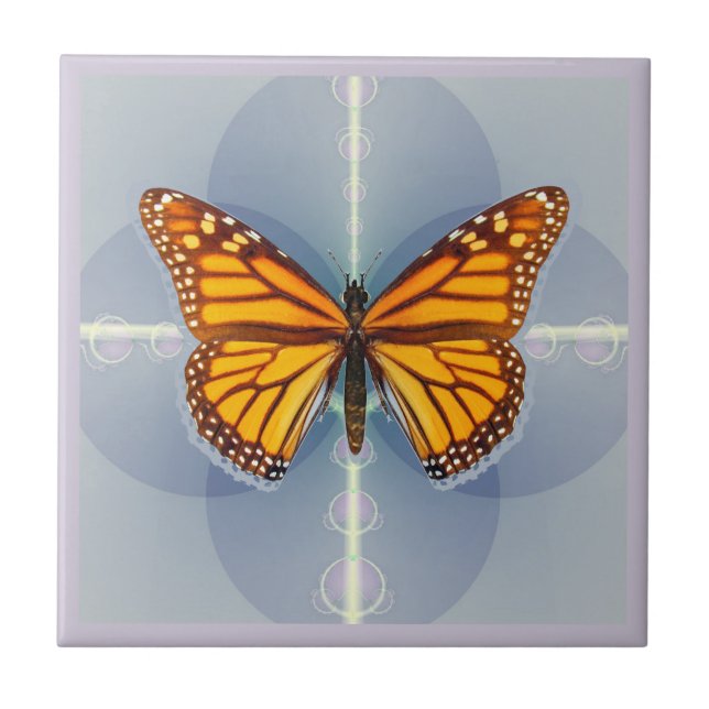 Arte Digital Geométrica da Borboleta Monarca (Frente)