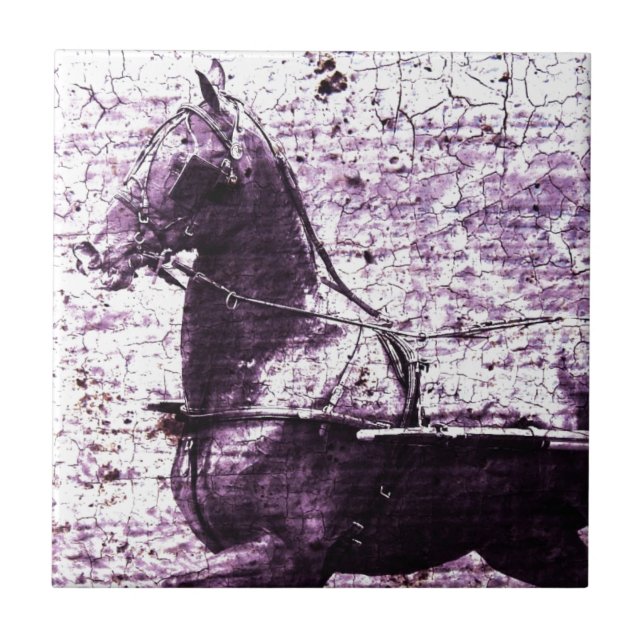 Arte Digital Hackey Crackle (Frente)