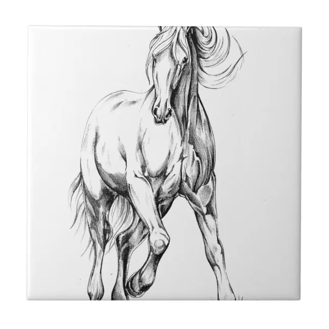 How-To-Draw-Horses  Coisas para desenhar, Cavalo desenho, Cavalos