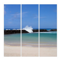 Arte do Muro do Triptych Havaiano