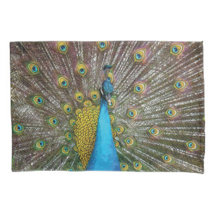 Arte do pavão na turquesa, nos azuis e no ouro