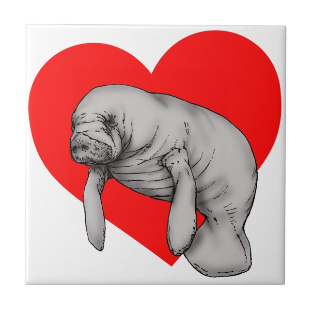 arte do peixe-boi (Frente)