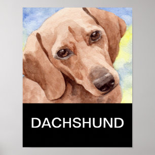 Arte do poster do Dachshund