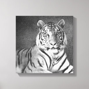 Arte do tigre Siberian em preto e branco - canvas