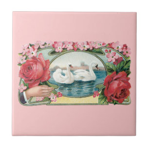 Arte do vintage das cisnes e dos rosas