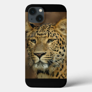 Arte dos amantes do leopardo