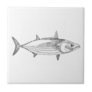 Arte dos peixes do marisco do vintage - atum de