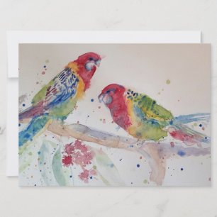 Arte em Aquarela de Papagaio Rosella Vermelho Fofo