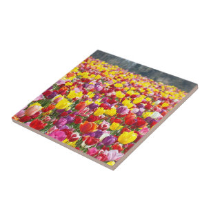 Arte em Azulejos Hotplate Presentes de Azulejos Tu