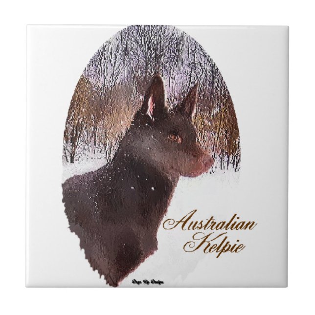 Arte em Kelpe Australiana (Frente)